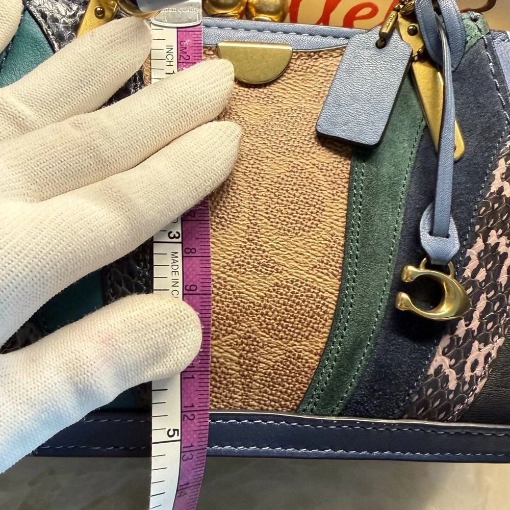 Coach kisslock dreamer 21 snakeskin detail